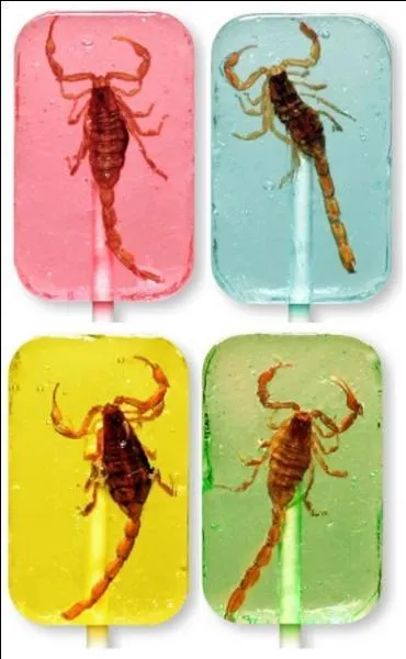 On est dans le bonbon, restons-y... Oh les jolies sucettes (amricaines) que voil... A votre avis, le scorpion est ?