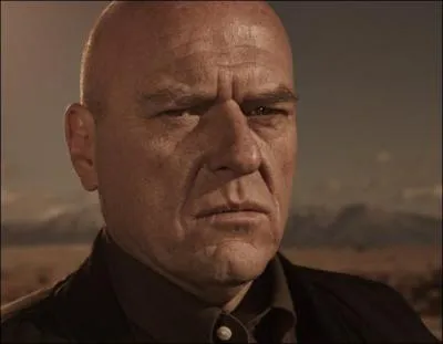 Dans quel service de police travaille Hank ?