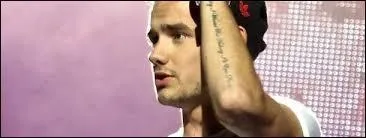 Combien mesure Liam Payne ?