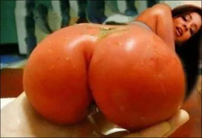 Que voyez-vous sur cette photo ?