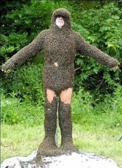 Avec quoi est fabriqu le vtement de cette personne ?