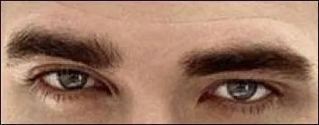 A qui appartiennent ces yeux ?