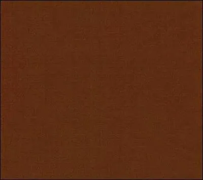 Comment dit-on  marron  en anglais ?