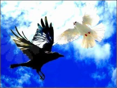 Trouvez le titre de la chanson de Soprano !