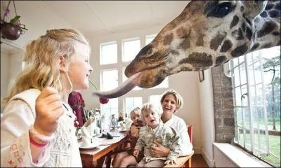 De ces trois interprtes, qui a chant cet animal ?