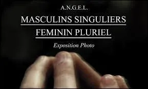 Quels sont les trois mots de la langue franaise qui peuvent tre masculins au singulier et fminins au pluriel ?