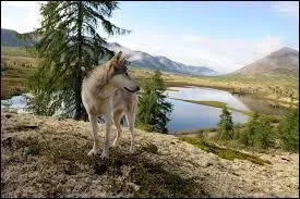 Quel exemple pourrais-tu donner ?