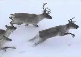 Et pour les autres groupes ?