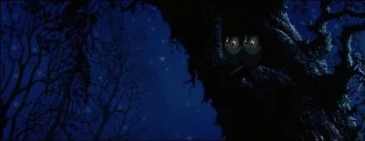 Dans quel Disney aperoit-on brivement ce couple de hiboux ?