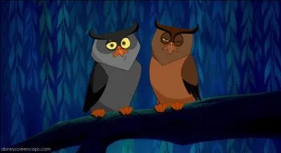 Dans quel Disney rencontre-t-on ce petit couple de hiboux ?