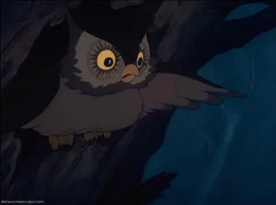 Dans quel Disney ce hibou apparat-il ?