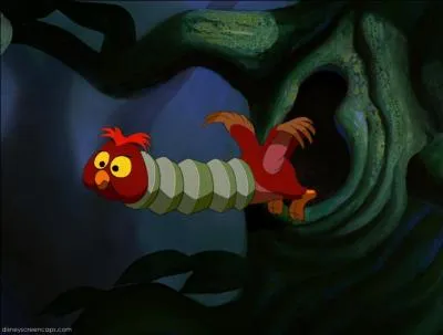 Dans quel Disney peut-on voir ce hibou accordon ?