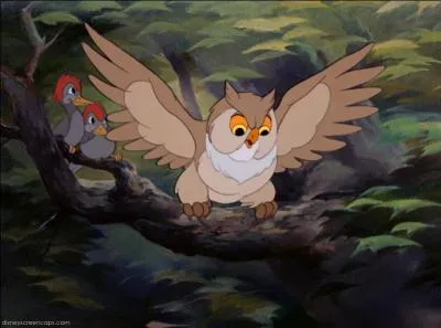 C'est le premier hibou qui prend de l'importance, o le rencontre-t-on ?