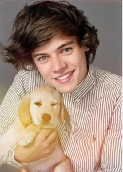 Que collectionne Harry ?