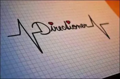 Quel membre des One Direction est son meilleur ami ?