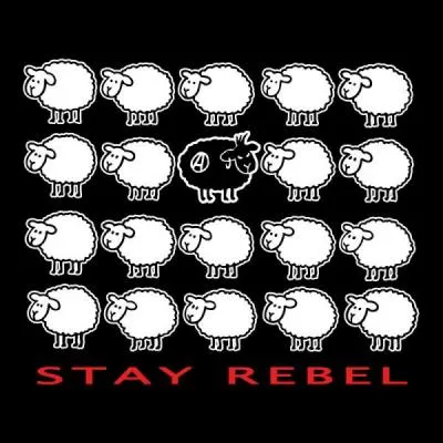 L'expression  tre un mouton noir  signifie :