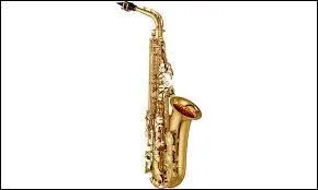 Quel est cet instrument ?