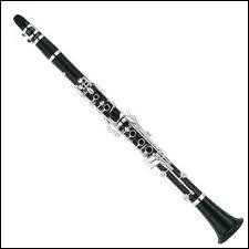 Quel est cet instrument ?