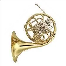 Quel est cet instrument ?