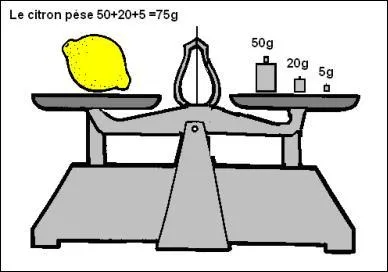 Une balance permet de mesurer ... d'un corps.