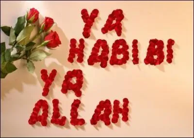 Quel ge avait le prophte Muhammad quand sa mre est dcde ?