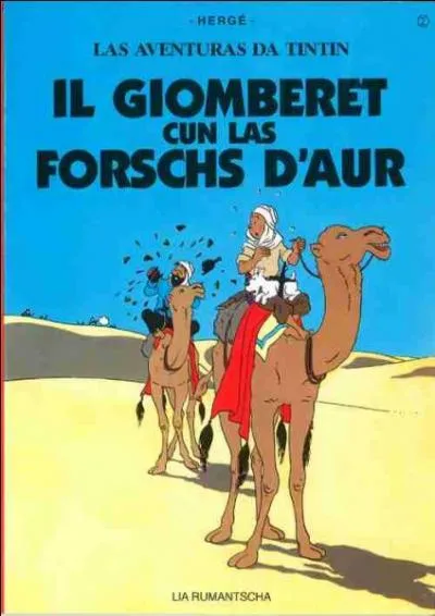 Mais o peut-on bien entendre cette langue bizarre, qui n'est qu' moiti officielle dans ce pays ?