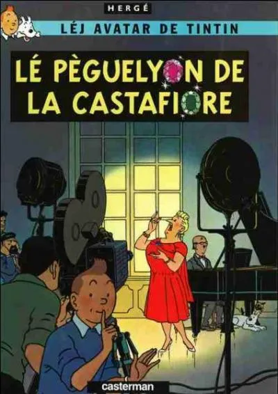 L'arpitan est une langue gallo-romaine qui n'a pas eu le destin de ses voisines d'oc et d'ol : transnationale, sa littrature remonte au haut Moyen Age, notamment par Marguerite d'Oingt (v. 1240-1310). Celle-ci pourrait se demander aujourd'hui :  Mais dans quels tats j'erre ?  