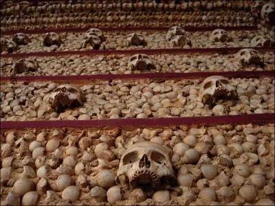 Vous avez certainement entendu parler de cette chapelle, entirement faite (hormis le dallage) de morceaux de squelettes humains, 5ooo squelettes employs. O se trouve-t-elle ?