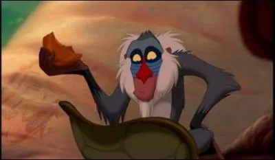 Quel est l'objet de Rafiki ?