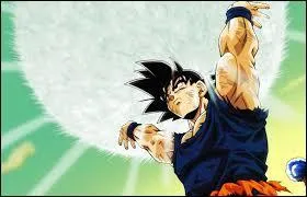 Comment s'appellent les attaques les plus puissantes de Sangoku ?