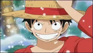 Luffy est ...