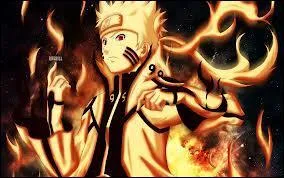 Quel est le nom de famille de Naruto ?