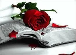 Compltez le titre de ce roman d'Agatha Christie :  Mort sur ... ...   :