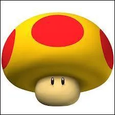 Dans Mario 3D World, un niveau est ddi au Mga Champi, lequel ?