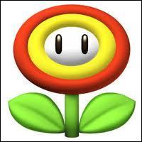 Combien d'essais nous laisse la Fleur de Feu avant de mourir dans Mario Bros ?