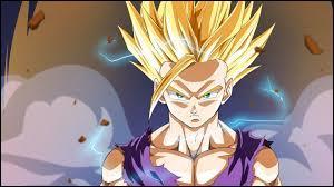 Quiz Dragon ball