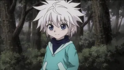 Quel est ce personnage ? (Hunter X Hunter)