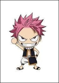 Dans quel tome apparat Natsu Dragnir ?