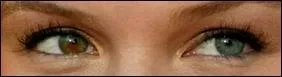 Comment appelle-t-on ces yeux ?
