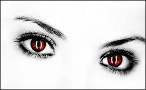 Comment appelle-t-on la partie rouge sur l'image ?