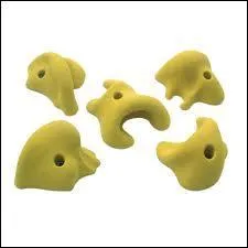 Que reprsente l'image ?