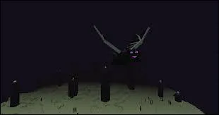 Quel est le lieu du combat contre l'Ender dragon ?