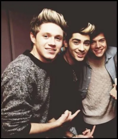 Qui ne sait pas nager ?