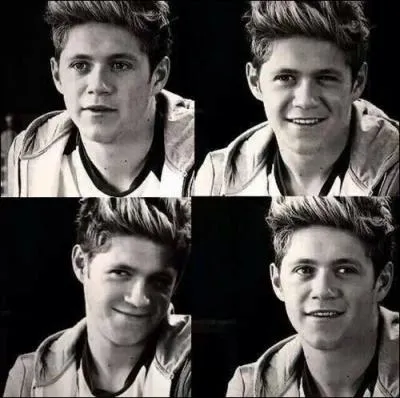 De quel instrument joue Niall ?