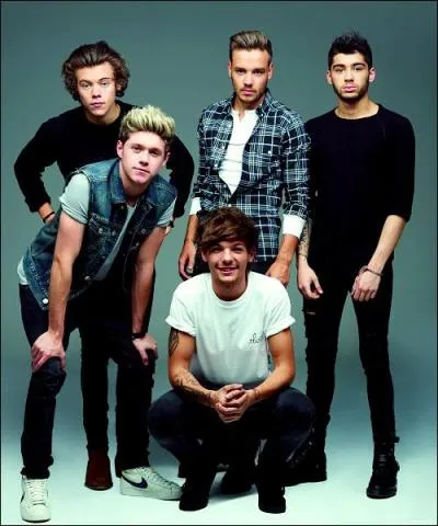 Par quelle mission les One Direction se sont-ils fait connatre ?