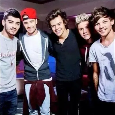 En quelle anne le groupe s'est-il form ?