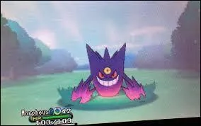 Combien de Pokémon méga évoluent ? (X et Y + RO/SA)