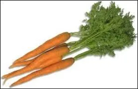  la fin du travail, tu :