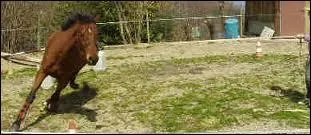 Il fait chaud aujourd'hui :