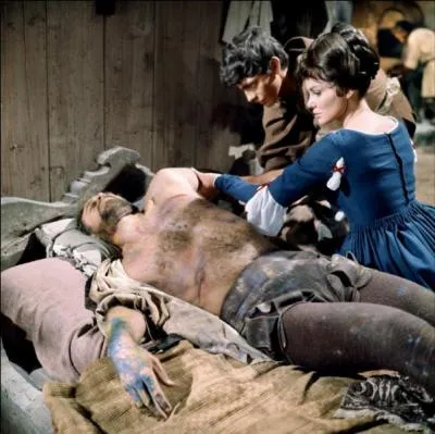 Qui a ralis L'Extase et l'agonie (1965) ?